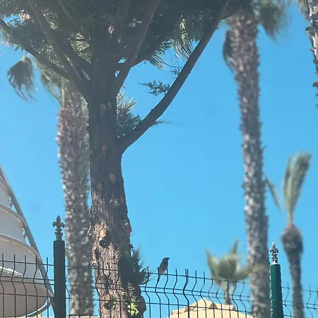 La-costa فندق *